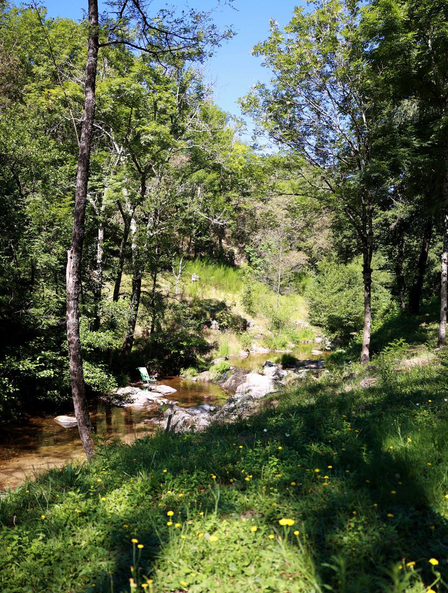 Le ruisseau le long du camping Le ruisseau le long du camping