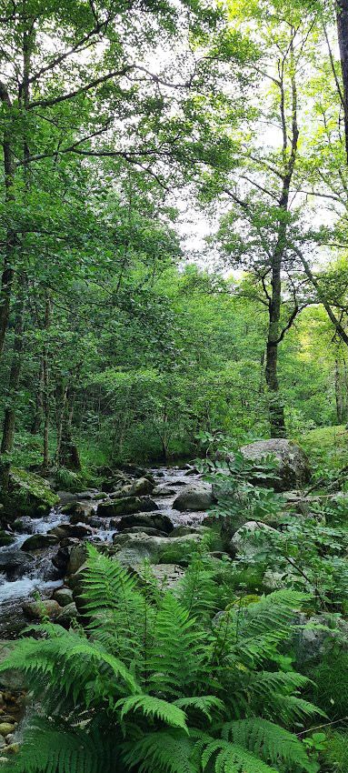La rivière le long du camping La rivière le long du camping