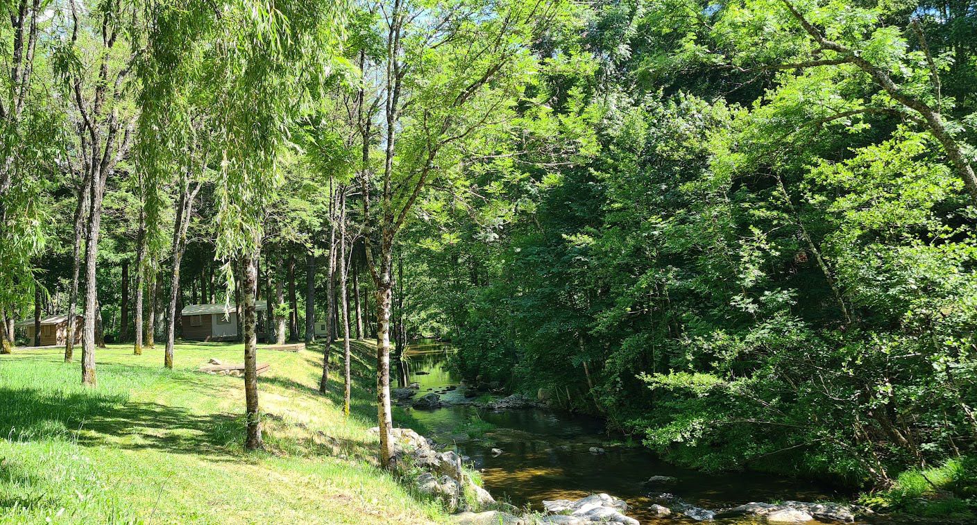 Le ruisseau le long du camping Le ruisseau le long du camping